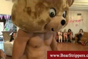 Teddy bear stripper gets blowed balls deep
