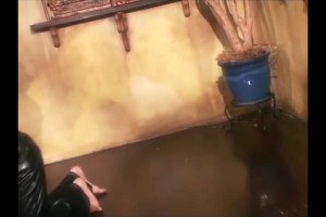 A hot compilation of horny babes