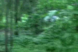 Alluring raven babe fucked in the woods 