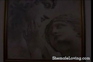 She's a stunning shemale making love