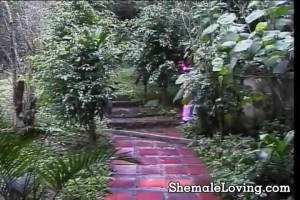 Beautiful, tall shemale looking like a lingerie model.