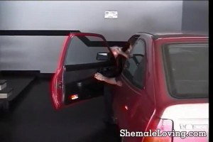 Shemale, babe and man having fun together.