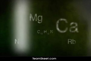 A skinny chick gets nailed