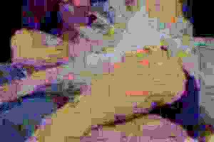 Young babes simulate straight sex