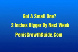 Sexy blonde nerd nailed on a red sofa