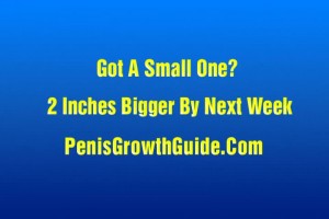 Chocolate pussy fucked by a big white cock