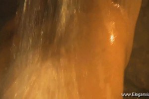 Elegant brunette beauty fucked