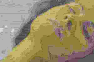 gorgeous dark hair girl masturbating in the couch