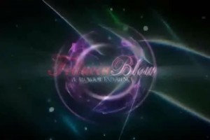 Beutiful Girl Sucking Lucky Man's Cock