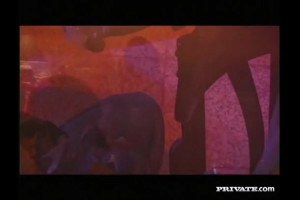 Nikky Anderson goes wild on a hot orgy