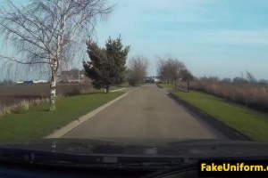 Busty English beauty hammered in public by fake cop