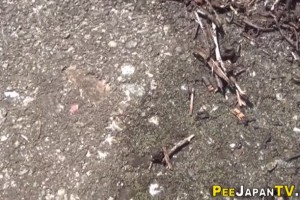 Japanese schoolgirls filmed with cam when peeing in public