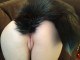 Silly pets. Give em an anal plug a collar and a dick to suck and their nice and content. 