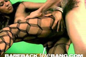 Busty ladyboy in action